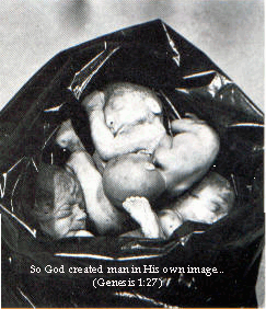 Human garbage